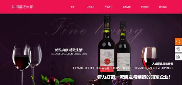 企業(yè)網(wǎng)站建設(shè)，下載網(wǎng)站的初步發(fā)展